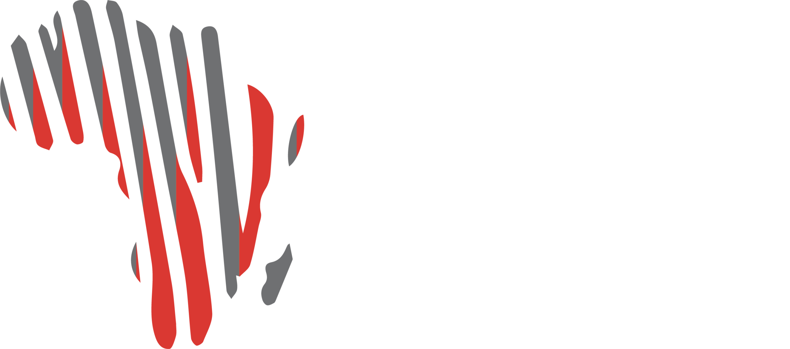Les Nouvelles d'Afrique